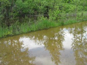 IMG_4540.JPG