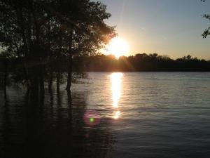 IMG_4590.JPG