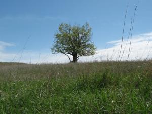IMG_4450.JPG