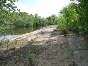 IMG_4690.JPG