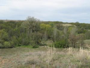 IMG_4442.JPG