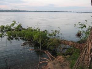 IMG_4677.JPG