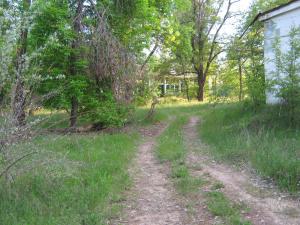 IMG_4575.JPG