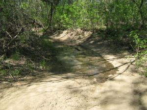 IMG_4476.JPG