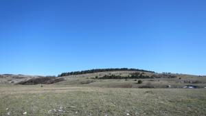 IMG_8782.JPG