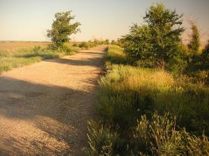 PICT0004.jpg