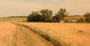 PICT0028.jpg