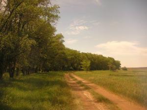 PICT0062.jpg