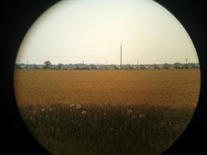 PIC100613001.jpg