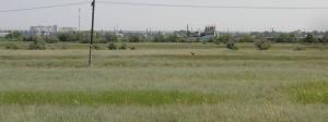 PICT0125.jpg