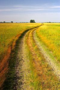 SG1L9728.jpg