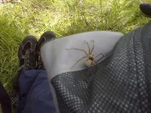 29052010003_новый размер.jpg