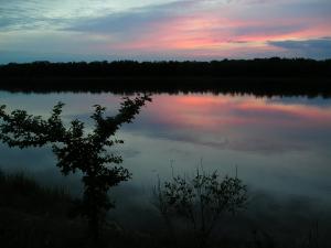 image9.jpg