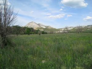 image4.jpg