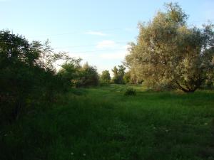 DSC09291.JPG