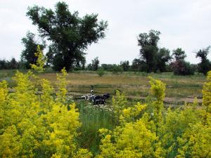 DSC09764.JPG