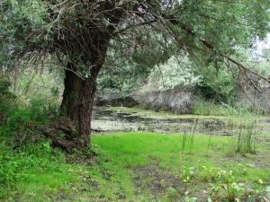DSC09767.JPG