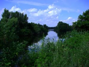 DSC09977.JPG