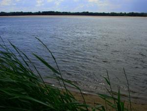 DSC07685.JPG