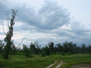DSC07702.JPG