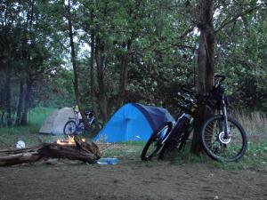 DSC08729.JPG