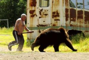 bear.jpg