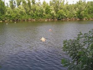 image010.jpg