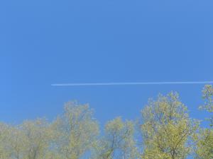 DSCN0916.JPG