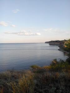 IMG_20140615_195937.jpg