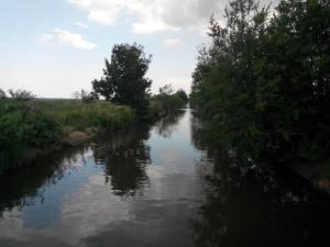 IMG_20140608_055020.jpg