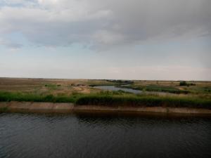 IMG_20140608_172949.jpg