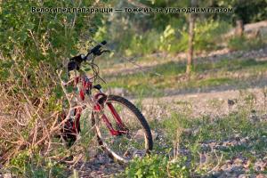 IMG_9759-Edit (копия).jpg