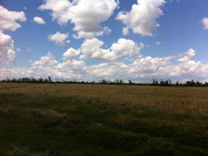 IMG_1067.JPG