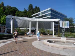 SDC13943.JPG
