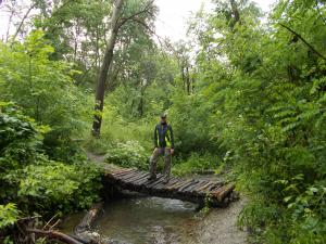 DSCN1656.JPG