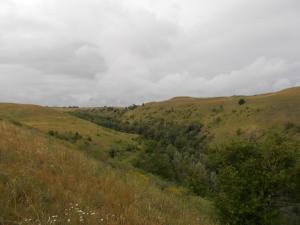 DSCN1677.JPG
