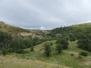 DSCN1669.JPG