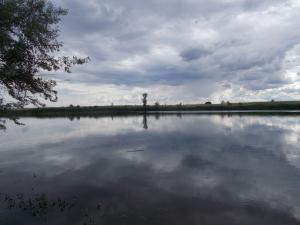DSCN1601.JPG