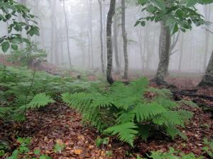 IMG_1364M.JPG