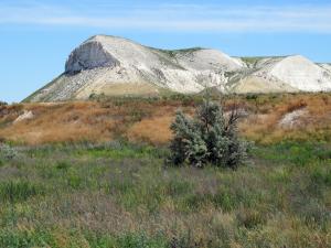 IMG_1160FM.jpg
