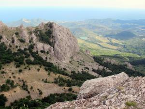 IMG_1342M.JPG