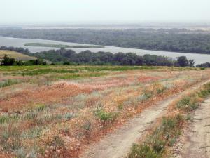 IMG_1189FM.jpg