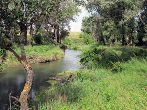 IMG_1183FM.jpg