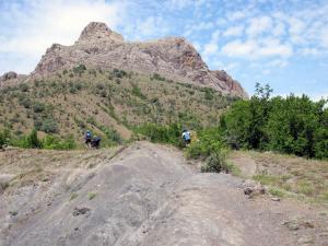 IMG_1313M.JPG