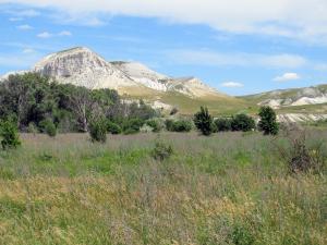 IMG_1167FM.jpg