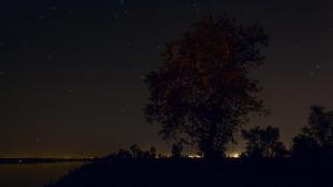 Огни большого города.jpg