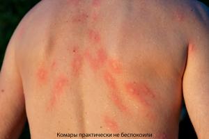 IMG_9810-Edit (копия).jpg