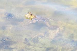 IMG_2958R.jpg