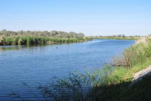IMG_3066M.JPG