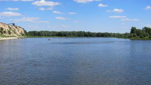 IMG_2971M.JPG